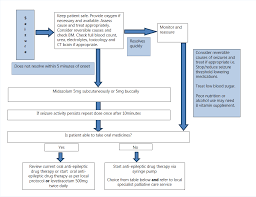 Scottish Palliative Care Guidelines Seizures