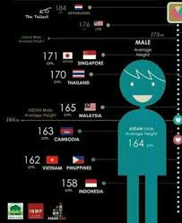Average male height in malaysia. Is 169 Cm Short For A Guy