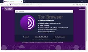 It is very easy to install and use. Tor Browser Under Windows Client Authentifizierung Zertifikate Importieren