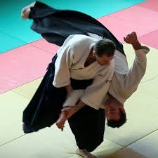 Steven Seagal Martial Arts Credentials | Sincovaga.Com.Br