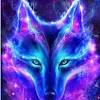 The great collection of galaxy wolf wallpaper for desktop, laptop and mobiles. Https Encrypted Tbn0 Gstatic Com Images Q Tbn And9gcr4hvigytd5q1nzauc1lk87zm1csmk6g9bqze45u6v93u3kbqg3 Usqp Cau