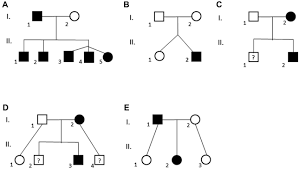 Recurrent Microdeletions At Chromosome 2p11 2 Are Associated With Thymic Hypoplasia And Features Resembling Digeorge Syndrome Journal Of Allergy And Clinical Immunology