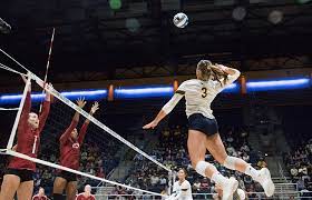 Check spelling or type a new query. Cal Volleyball Falls To No 2 Stanford In Big Spike To Open Pac 12 Play