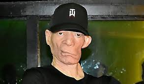 Yellowman Seattle Shows