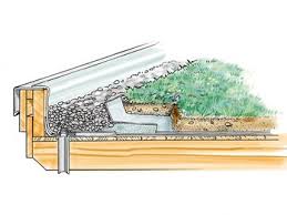 Das Ist Bei Der Dachbegrunung Dringend Zu Beachten Dachbegrunung Gartenhaus Dach