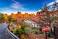 Image of How fast is Radiator Springs Racers?