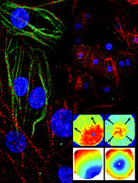 cover image circulation research way to got matt todd peter and alex circulation image the literature