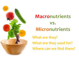 Macronutrients is based on the quantity of a nutrient the body needs. Macro Vs Micronutrients