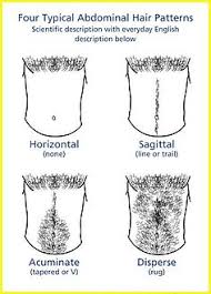 Today, gents have more choice than ever when it comes to their hair. Abdominal Hair Wikipedia
