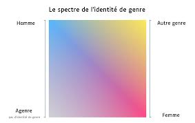 Identité de genre — Wikipédia