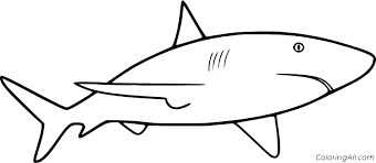 With a little imagination color this shark coloring page with the most creative colors of your choice. Very Simple Great White Shark Coloring Page Coloringall