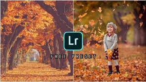 These presets are fully compatible with photoshop cc 2018 and 2019. Autumn Preset Lightroom Mobile How To Edit Autumn Look Free Preset Youtube