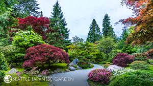 One you have saved the image to your computer, you will be able to upload it into zoom, or any other video conferencing software that allows backgrounds! Seattle Japanese Garden Backgrounds Now Available For Video Conferences Seattle Japanese Garden