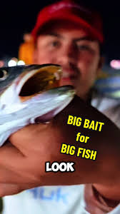 How to Get Troutlet in My Fishing Peir