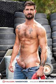 Trendy and Tempting: The Rise of Bearded Gay Porn Stars.