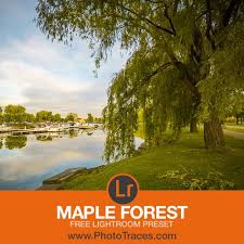 This is the perfect chance to try some of the best free lightroom cc . Maple Forest Free Lightroom Landscape Preset Download Zip