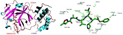 Struktur protease protease bervariasi dan memiliki peran biologis yang sangat berbeda. A Structure Of Covid 19 Main Protease Mp Liganded With Inhibitor Download Scientific Diagram