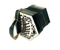 The New Swan Concertina Irish Musical Instruments Irish Music Traditional Music