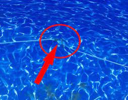 Above ground pool liner leak repair finding and fixing the hole above ground pool liners swimming pool liners above ground pool. Do You Have Holes In Your Above Ground Pool