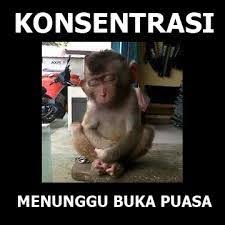 Simak kumpulan caption lucu yang bisa kamu pakai di sini! 17 Ide Lebaran Gambar Lucu Lucu Meme Lucu