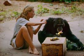 Watch nature documentaries online free. 12 Family Friendly Nature Documentaries The New York Times