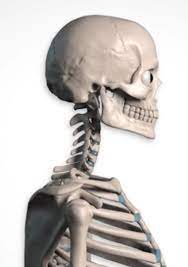 draw heads おしゃれまとめの人気アイデア pinterest chand イラスト