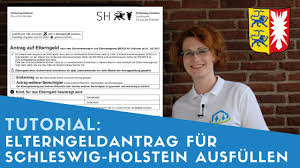 Lebensmonat besteht, ist eine rückwirkende zahlung auf drei monate beschränkt. Elterngeldantrag Fur Schleswig Holstein Ausfullen Tipps Youtube