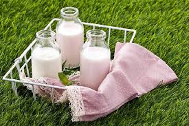 Adalah susu wanita itu adalah seorang wanita yang bekerja dalam susu manakala tenusu adalah tempat, sering di ladang, di mana susu diproses dan berubah menjadi produk seperti mentega dan keju. Produk Tenusu Terbaik Yang Digunakan Dalam Pembuatan Gula