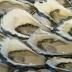Help announced for oyster farmers