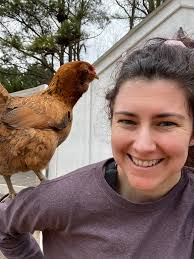 Free chickens for rehoming in Utah, 6 girls available