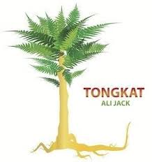 Tongkat ali is really not that much of a mystery, the only confusion comes from the mass marketing that surrounds it. Eurycoma Longifolia Alchetron The Free Social Encyclopedia