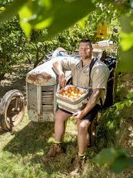 PALM workers aplenty as summer fruit harvest kicks off
