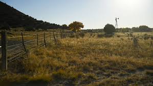 11-18-2021 Daily Edition