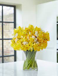 For more than a century, our commitment to exceptional service has remained unchanged, yet our funeral home has continued to adapt and respond to the changing needs of the community. 100 Stem Bouquet M S