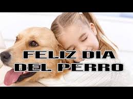 Sin embargo, el significado de esta fecha puede ser mucho más profundo. Dia Nacional Del Perro 2021 Youtube