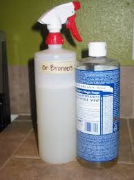 Kitchen Uses For Dr Bronner S Passionate Homemaking Diy Cleaning Products Cleaning Household Hacks