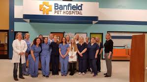 Banfield pet hospital reviews and banfield.com customer ratings for april 2021. Banfield Pet Hospital Jobs In May 2021 Zippia
