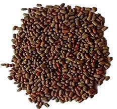 Image result for Sesbania sesban