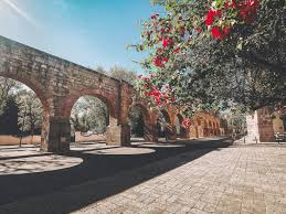 Se incorpora plataforma para cartas en línea. Best Things To Do In Michoacan Mexico Asobolife