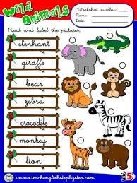 Wild Animals Worksheet 2 Atividades De Ingles Atividades Curso De Ingles