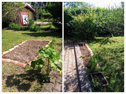 potager miaouzdays
