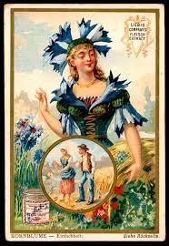 Liebig S349 Language Of Flowers Cornflower Fairy Photography Language Of Flowers Vintage Illustration