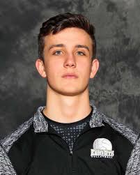 Boys volleyball: Lake County All-Area Team