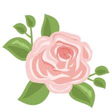 Download Cabbage Rose Svg Scrapbook Cut File Cute Clipart Files For Silhouette Cricut Pazzles Free Svgs Free Svg Cuts Cute Cut Files