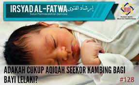 Memerintahkan para sahabat agar menyembelih aqiqah untuk anak lelaki dua ekor kambing yang umurnya sama dan untuk anak perempuan seekor kambing. Pejabat Mufti Wilayah Persekutuan Irsyad Al Fatwa Ke 128 Adakah Cukup Aqiqah Seekor Kambing Bagi Bayi Lelaki
