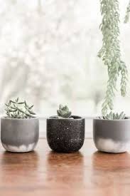 Estás en maceterosyjardineras.com y en esta tienda afiliada de amazon, te mostraremos las últimas tendencias en maceteros de cemento, macetas. 36 Ideas De Macetas De Concreto Para Suculentas Suculentas Macetas De Concreto Macetas Suculentas
