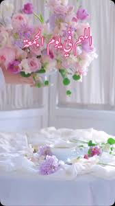 Profile for Jody Mohamedomar