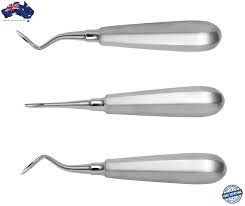 Canine Root Elevator Concave Tip Dentistry Elevators Human Veterinary Related Ebay Dentistry Dental Procedures Concave
