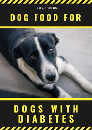 It's a lifestyle disease, which has even spread to domestic animals, such as dogs. Dog Food For Dogs With Diabetes What You Need To Know Dogdogs Dog Food Recipes Diabetic Dog Dogs