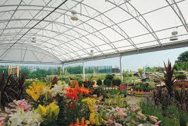 Multispan Steel Canopy Dobbies Garden World Garden Canopy Garden Center